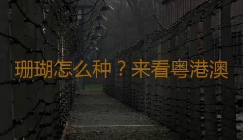 珊瑚怎么种?来看粤港澳摄影师的深海记录|全国珊瑚日